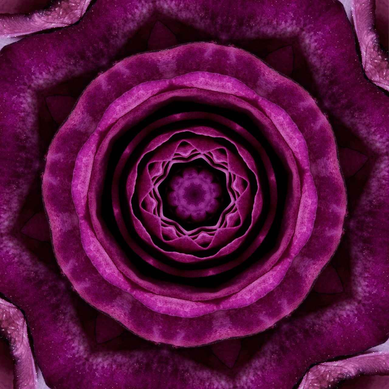 10 Upcycled DIY Room Divider Ideas That Cost Almost Nothing 10 Upcycled DIY Room Divider Ideas That Cost Almost Nothing