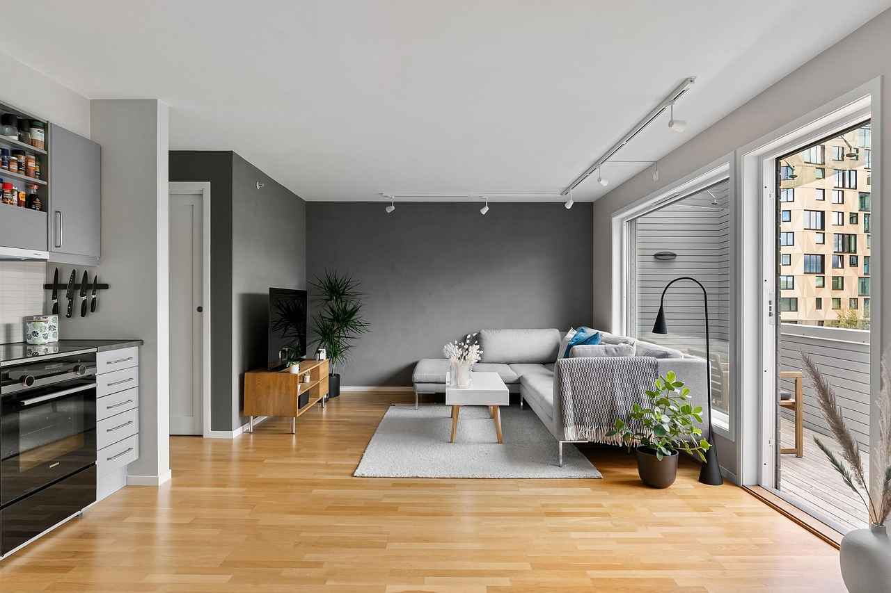 Why Choose Room Dividers for Renting?