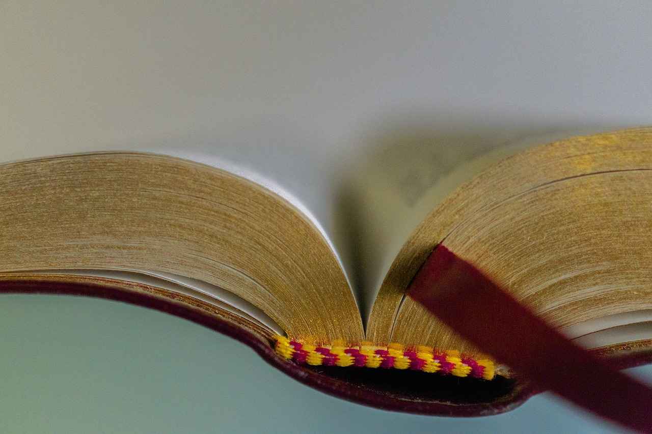 What Are Pre-Made Room Dividers?