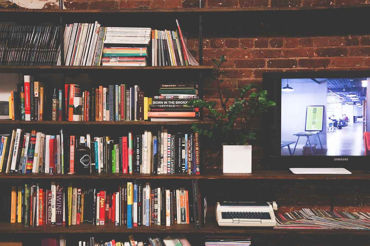 How to Choose the Right Design for Your Room Divider?