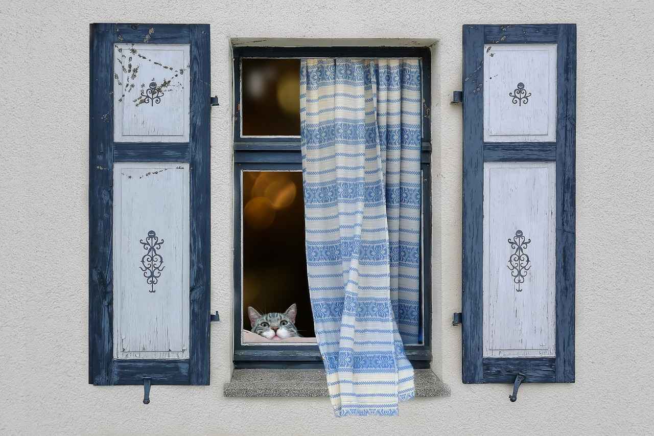 Design Flexibility: Curtains vs. Screens