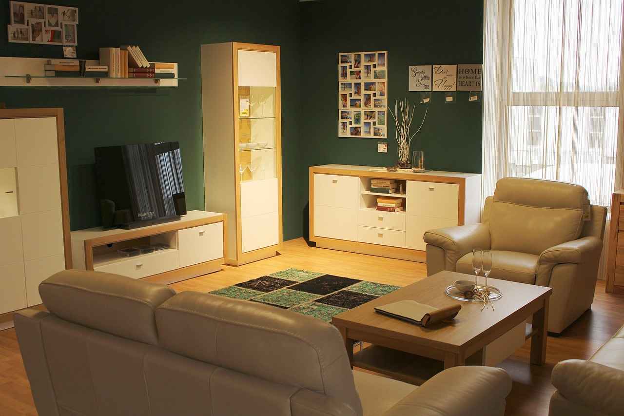 What Are Room Dividers and Their Purpose?