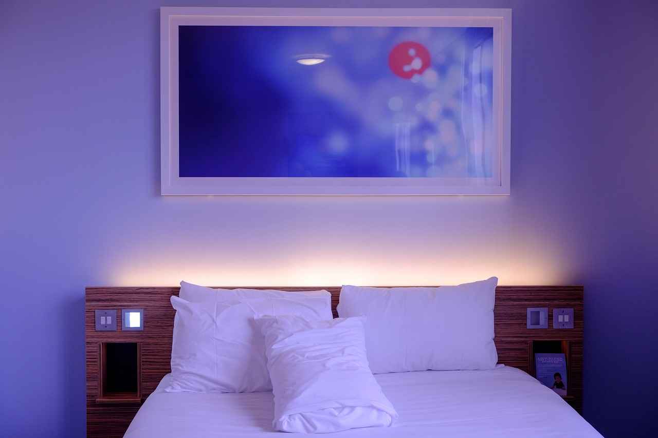 What Are Some Creative DIY Ideas for Room Dividers?