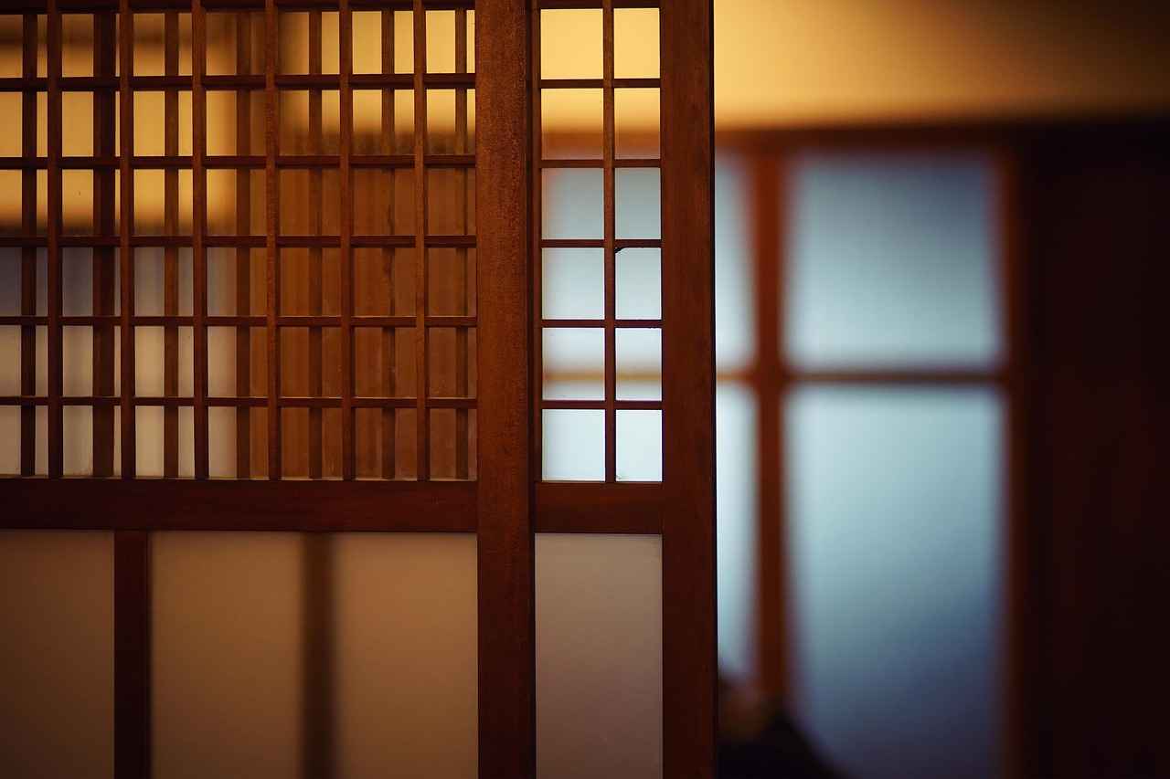 Glass vs. Fabric Room Dividers: Pros, Cons & Best Picks