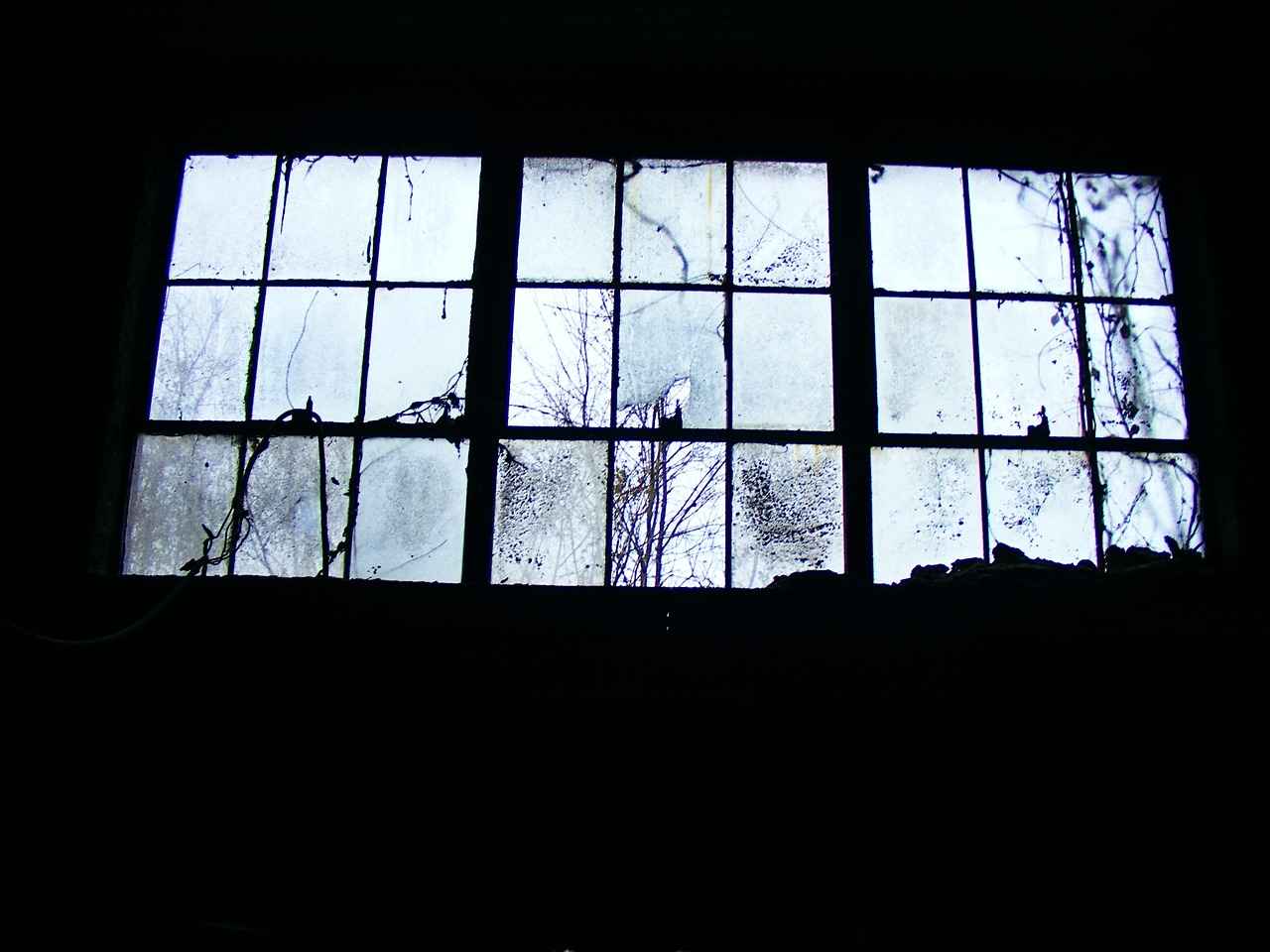 Choosing the Right Vintage Windows