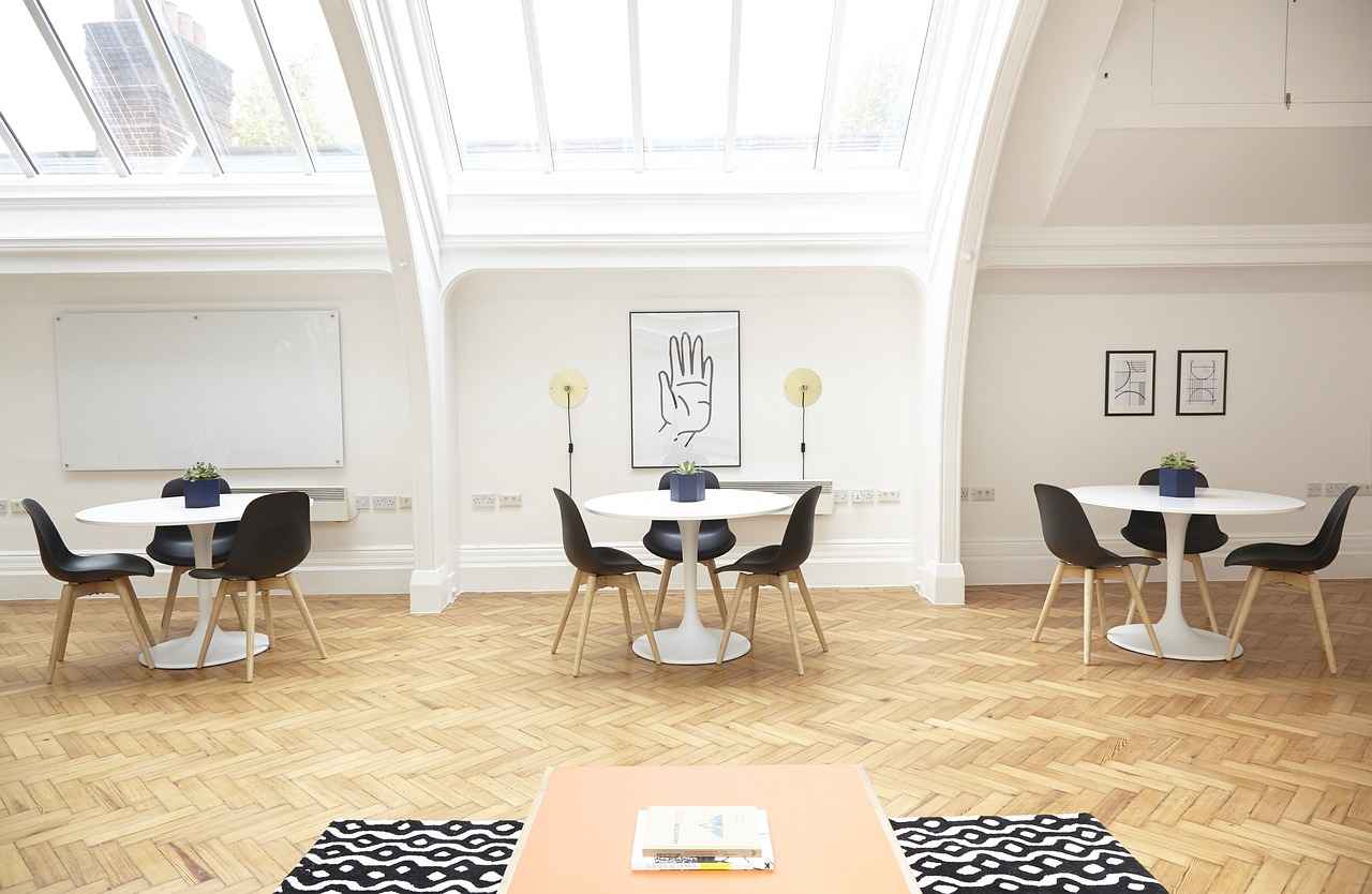 How to Use Plants as Natural Dividers?