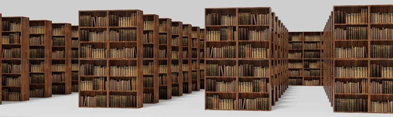 How to Repurpose Bookshelves as Room Dividers (DIY Guide)